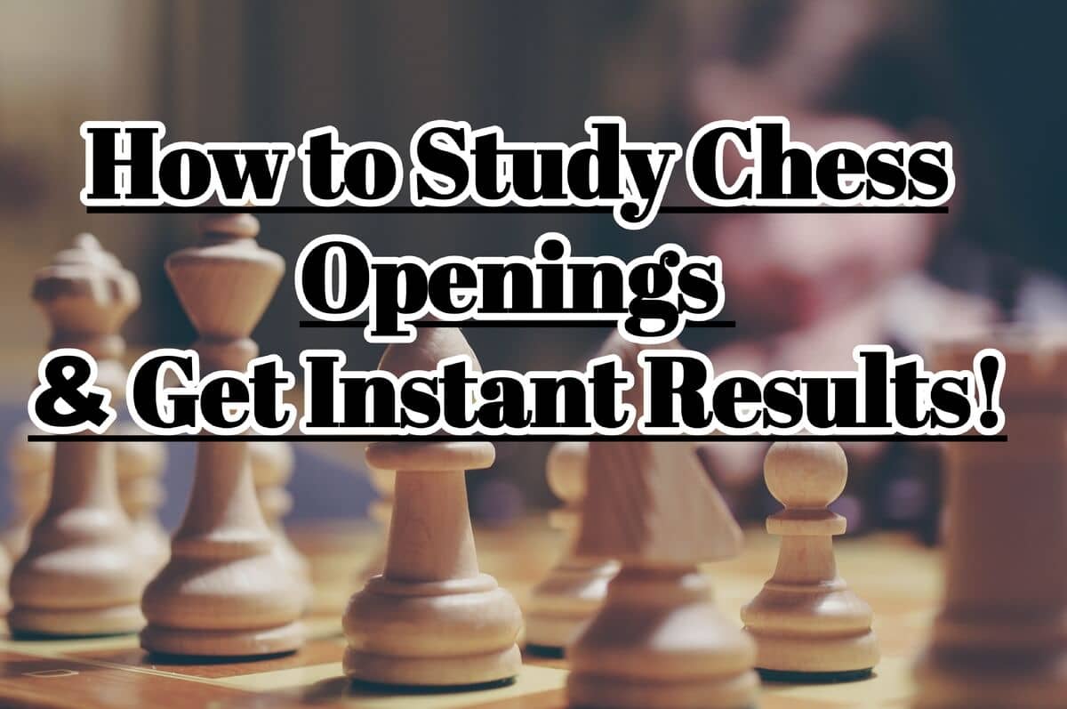 How You Can Study Chess Openings Get Instant Results Chess Lovers Only How You Can Study Chess Openings Get Instant Results Chess Lovers Only